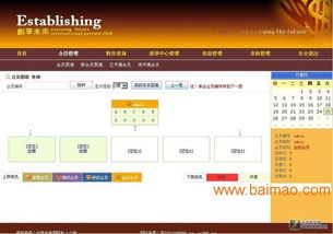 分盘直销制度与系统 软件开发的关键应用与市场洞察